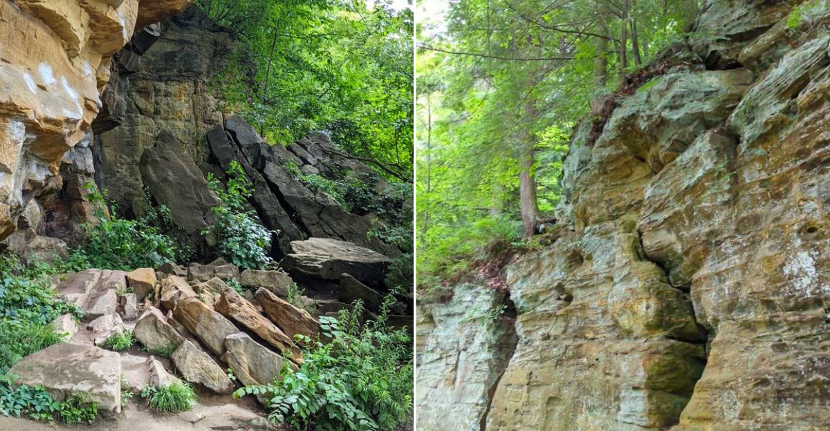 Fitzgerald Park ledges