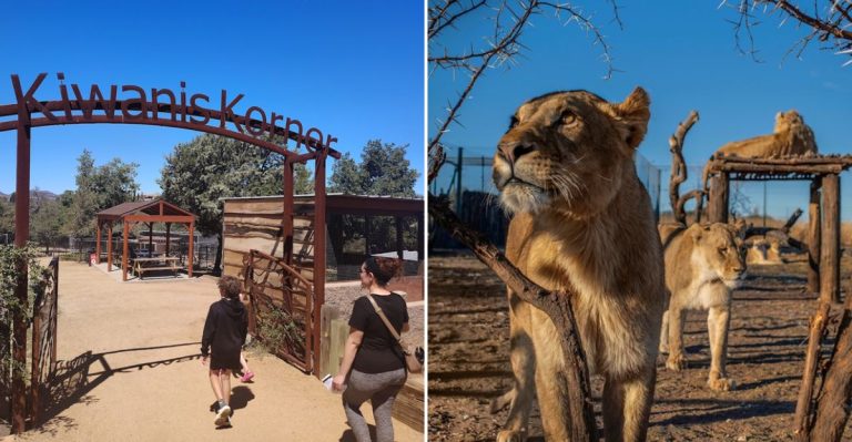 This Arizona Animal Park Is A Fun Easter Outing For The Whole Family