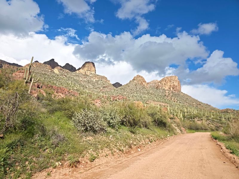 Goldfield Ghost Town Brings The Old West Back To Life