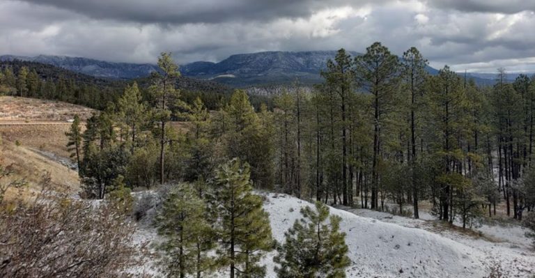This Arizona Fossil Site Lets Seashell Hunters Strike Gold Without An Ocean