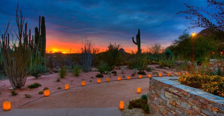This Arizona Garden Is Turning Into An Summer Adults-Only Roller Disco