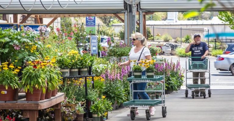 This Arizona Garden Market Comes With Free Classes And High-Country Charm