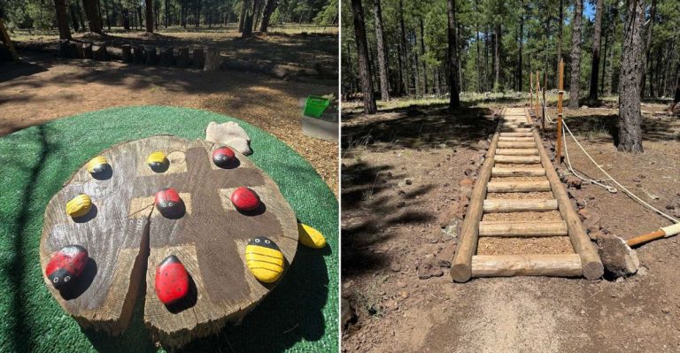 This Arizona Nature Playground Features Treehouses, Trails, And Endless Exploration
