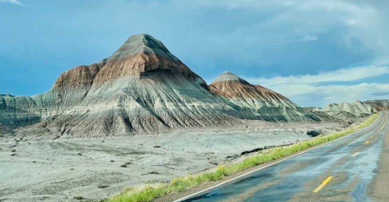 This Arizona Park Lets You See Fossils And Ancient Landscapes Up Close