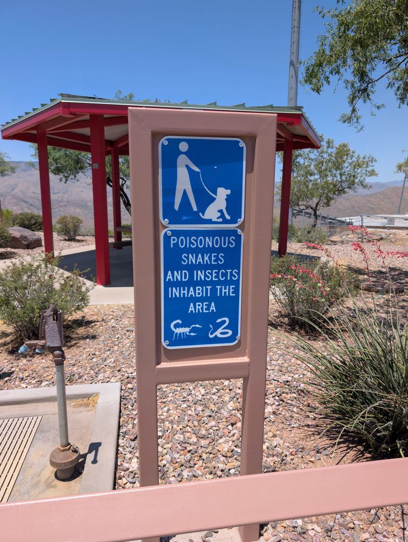 Panoramic Desert Views That Stop Traffic