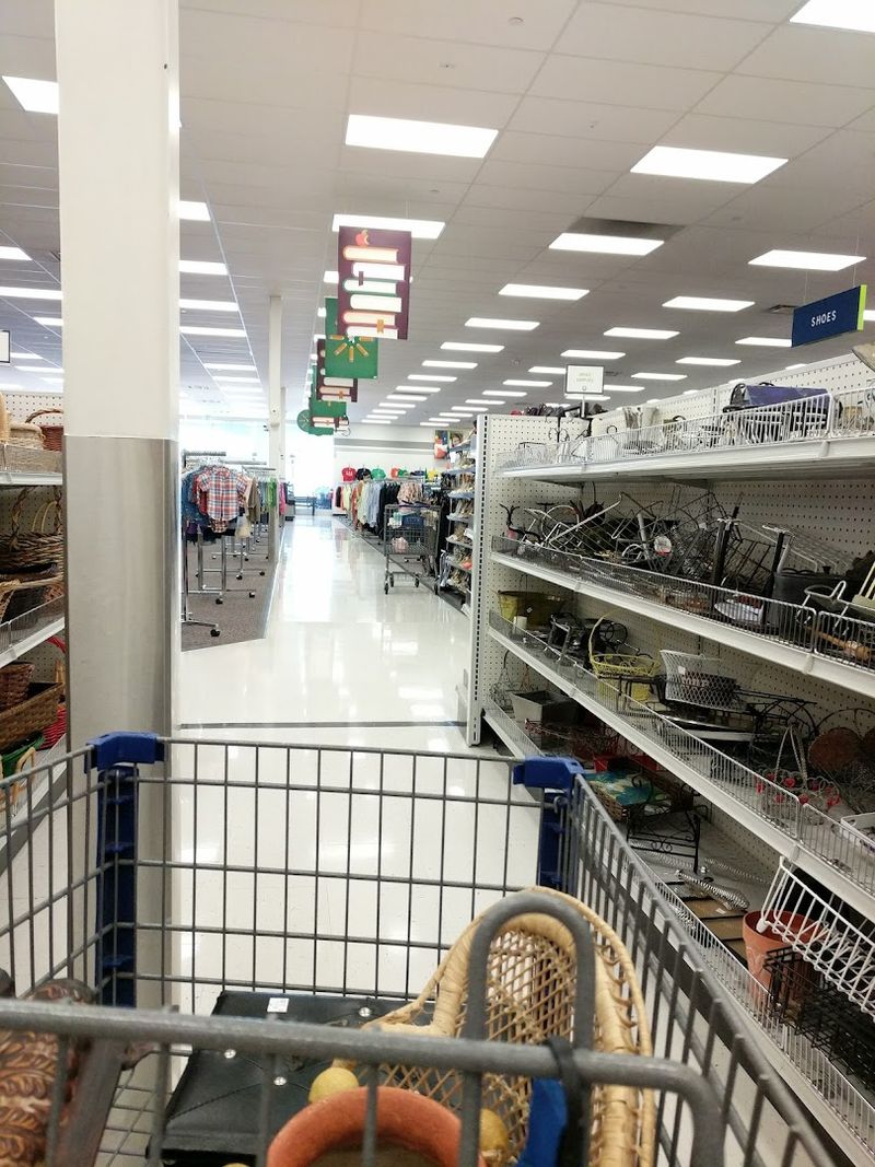 The First Impression: Walking Into a Treasure Hunter's Paradise