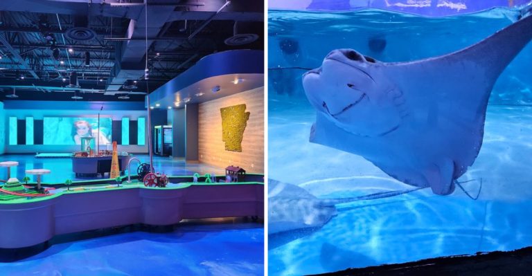 This Arkansas Aquarium Lets You Touch And Feed Stingrays Without Leaving The Mall