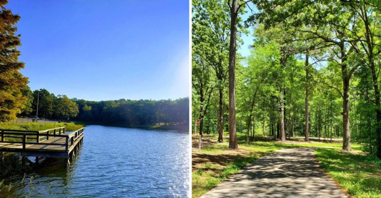 This Arkansas Birding Hotspot Draws Birders And Photographers Each Summer