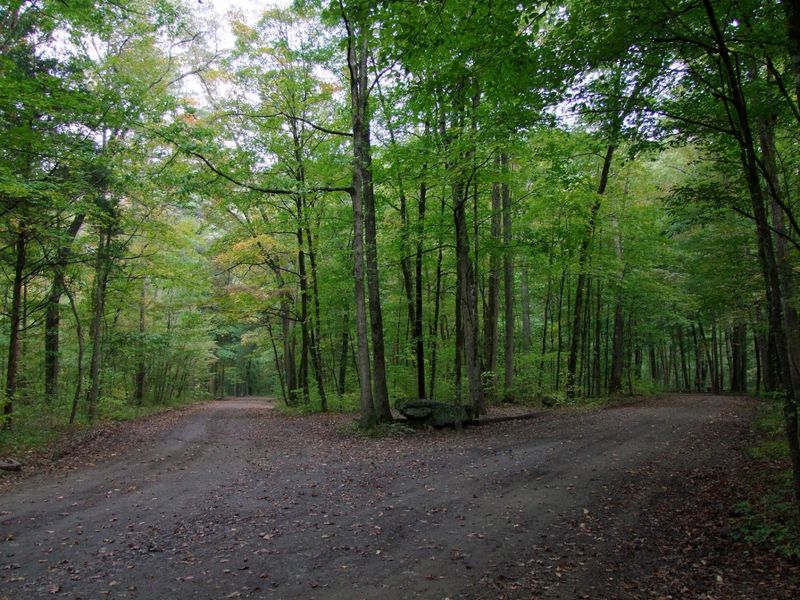 A Hidden Forest Escape In Arkansas