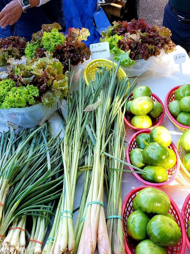 Basking In Freshness And Seasonal Shifts