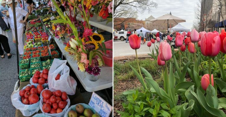 This Arkansas Farm Market Brings Spring To A Dreary March Day