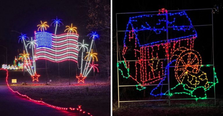 This Arkansas Forest Trail Becomes A Magical Wonderland After The Sun Goes Down