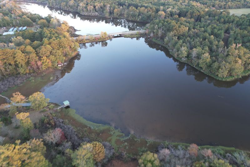 Prime Channel Edges For Giant Catfish