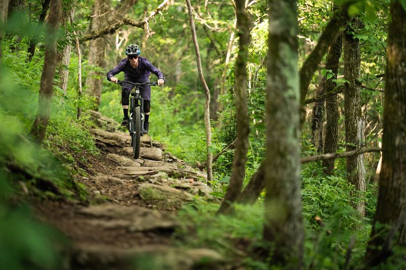 Ozark Terrain Reimagined For Adventure Riding