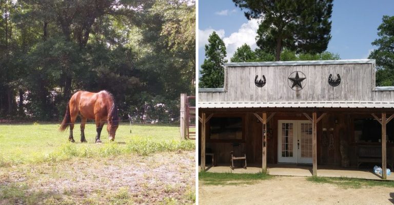 This Arkansas Ranch Lets You Ride Horses, Feed Calves, And Stay For A Farm Week