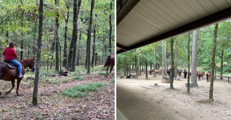 This Arkansas Stable Offers Trail Rides You Should Absolutely Try This May