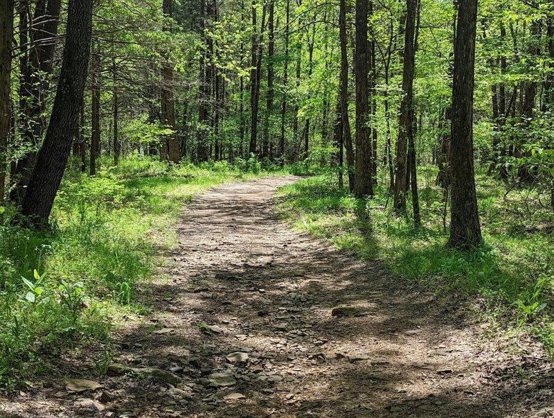 A Scenic Trail With A Secret Beneath Your Feet