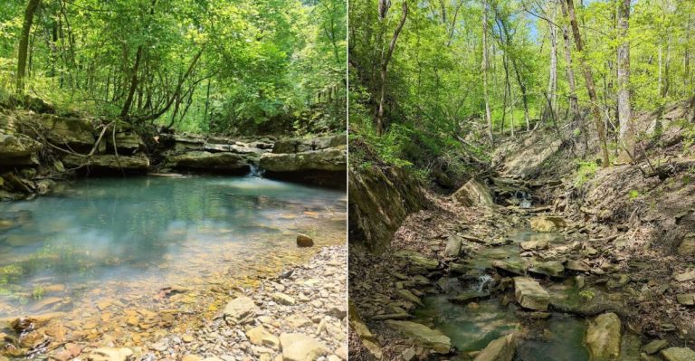 This Arkansas Trail Leads To A Hidden Floor Of Perfectly Preserved Fossils