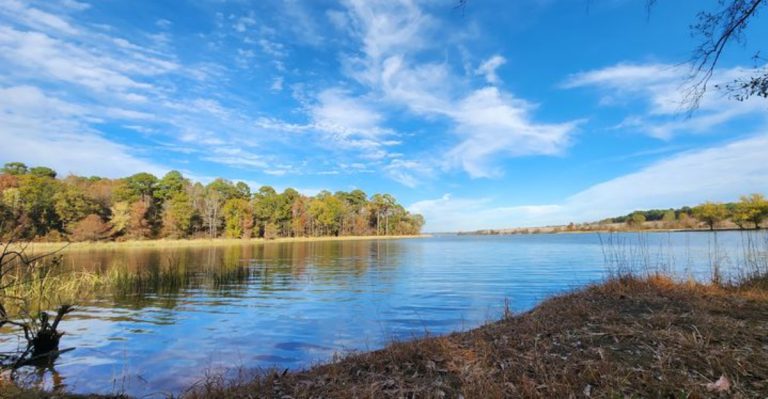 This Arkansas Trail With Boardwalks And Wildlife Is An Unforgettable Adventure