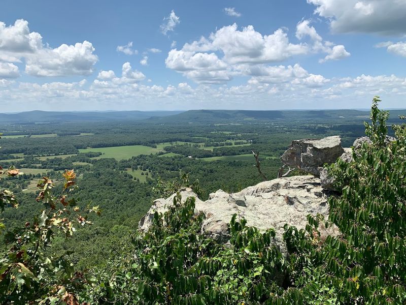 First Glimpse That Stops You Mid Step