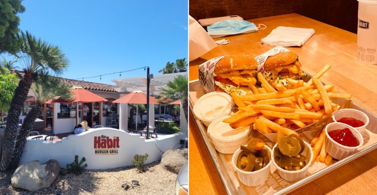 This Avocado Burger In California Has A Loud Fan Club And Plenty Of Confidence