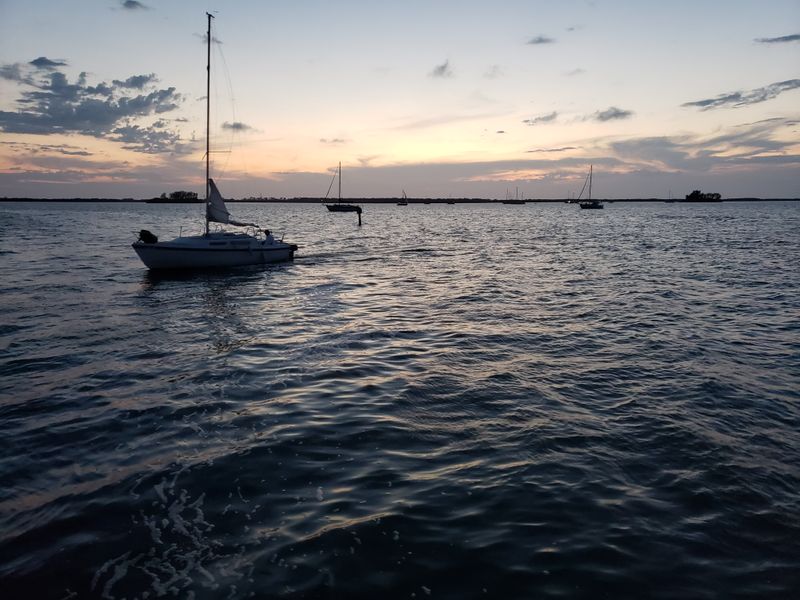 First Light On The Dunedin Causeway