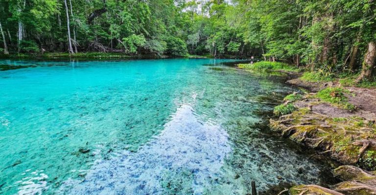 This Beautiful 1.7-Mile Hike In Florida Takes You Past 5 Stunning Natural Spring Pools