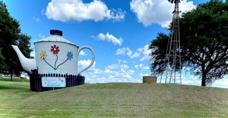 This Beautiful Garden Market In Texas Is The Perfect Place For A Relaxing Afternoon