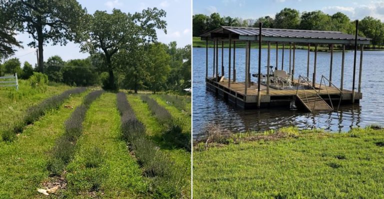 This Beautiful Lavender Farm In Arkansas Feels Like A Dream