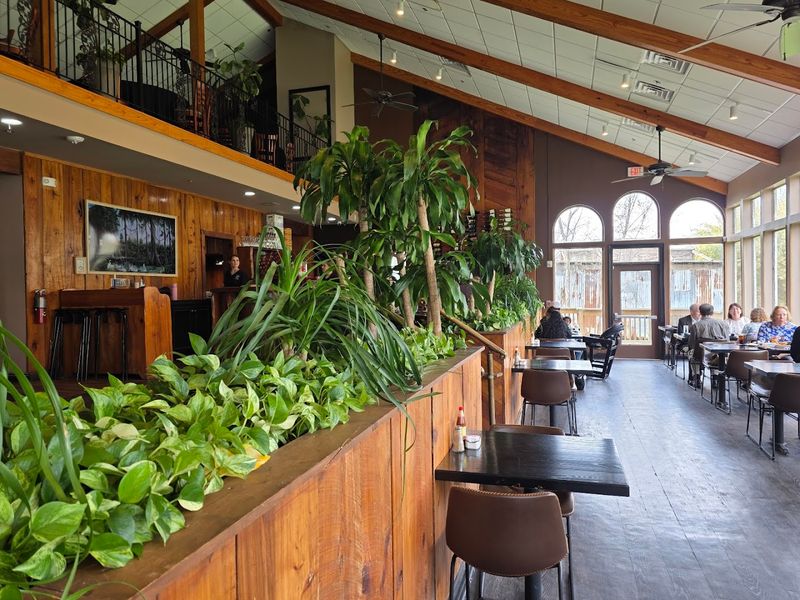 The Bayou Views That Stop You Mid-Bite