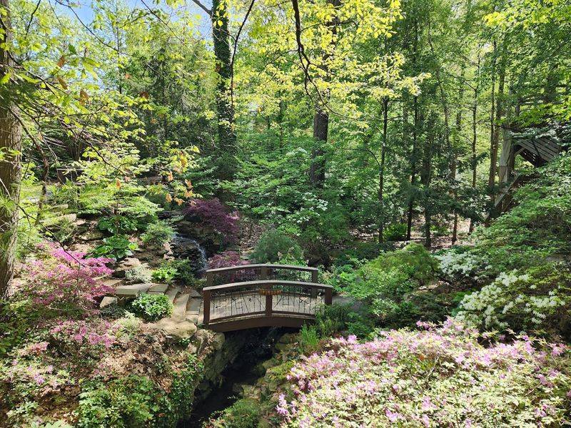 A Garden Rooted in the Heart of University Circle