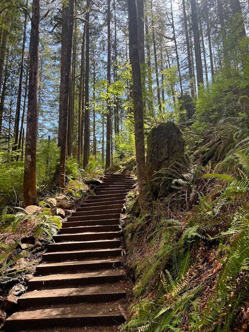 Getting To Gold Bar And The Park Entrance