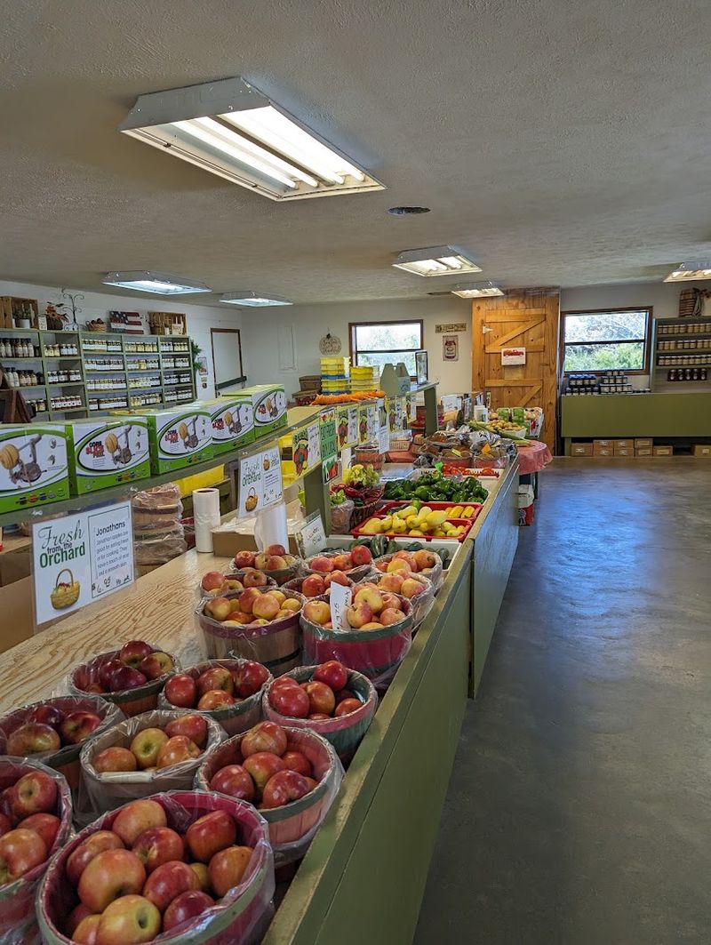 Spring Opening Timeline