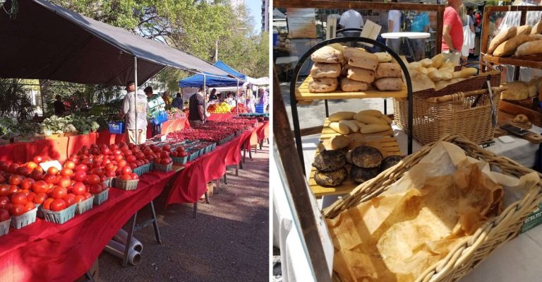 This Beloved Florida Farmers Market Is So Good Locals Wake Up Early For It