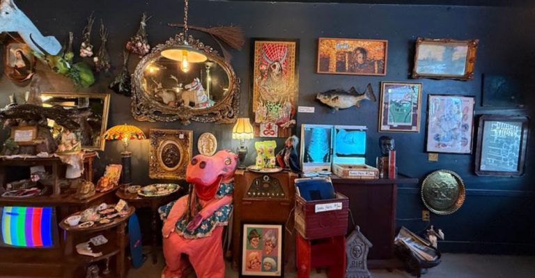 This Bizarre Little Shop In Florida Is Unlike Anywhere Else