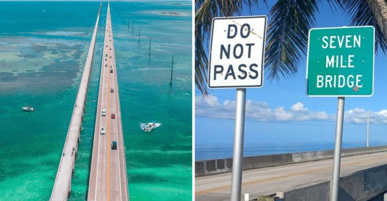 This Breathtaking 338-Mile Drive Might Be The Most Overlooked Experience In Florida