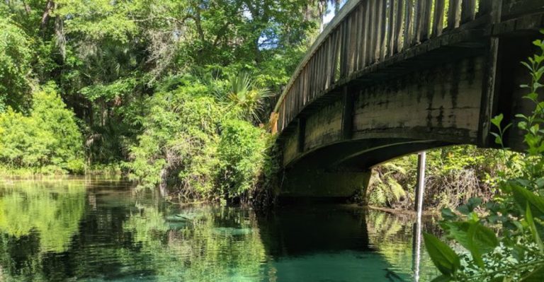 This Breathtaking Florida Hot Spring Is The Pacific Northwest’s Most Peaceful Secret