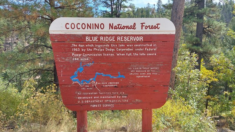 The Story Behind The Name