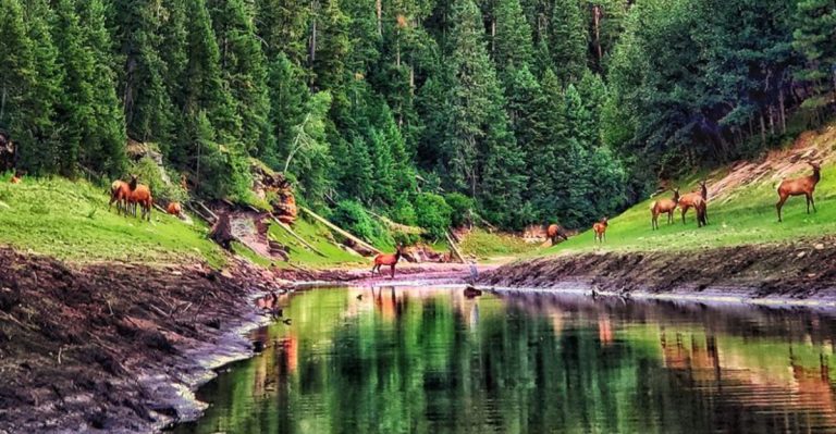 This Brilliant Blue Arizona Reservoir Feels Like A Secret Hidden Deep Within The Pines