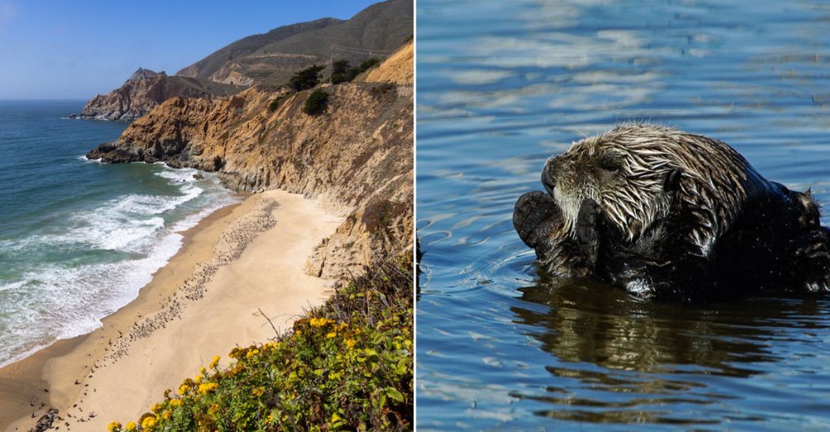 This Cozy Town in California Is The Perfect Thanksgiving Weekend Escape