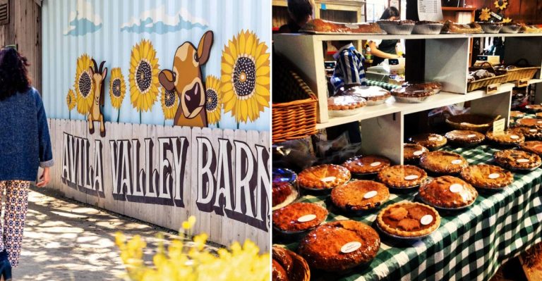 This California Farmhouse Restaurant Becomes a Pumpkin Patch Spectacle Every Fall