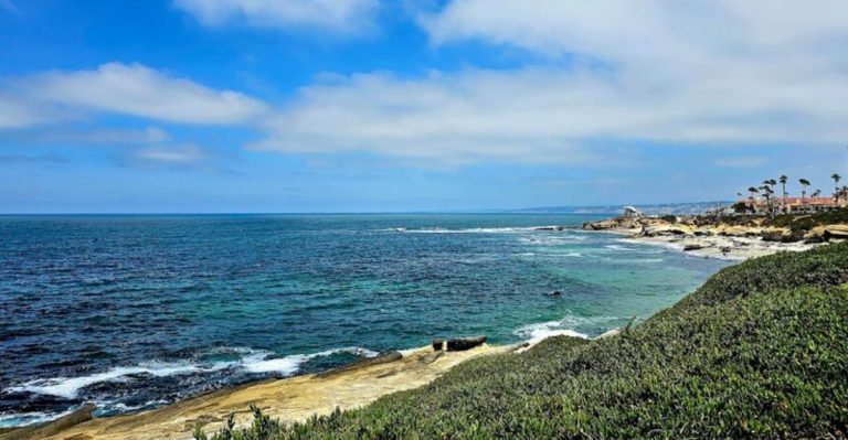 This California Island Has A Wild Bison Herd With A Hollywood Backstory
