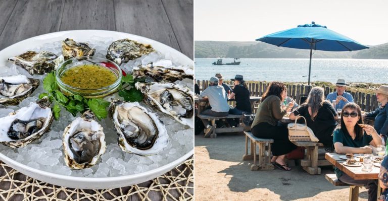 This California Oyster Bar Serves Shellfish So Fresh, Locals Say It’s Worth The Drive