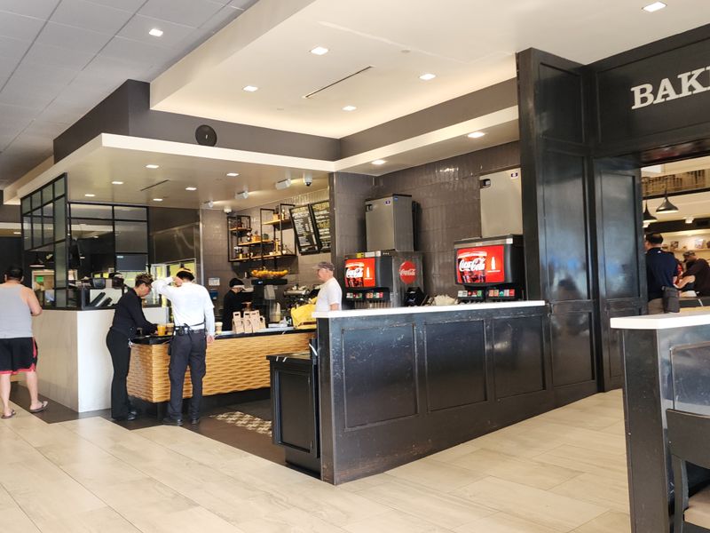 Arrival In The Sunshine And The Line