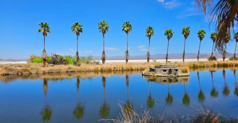 This California Road Leads To One Of The Most Unexpected Places In America