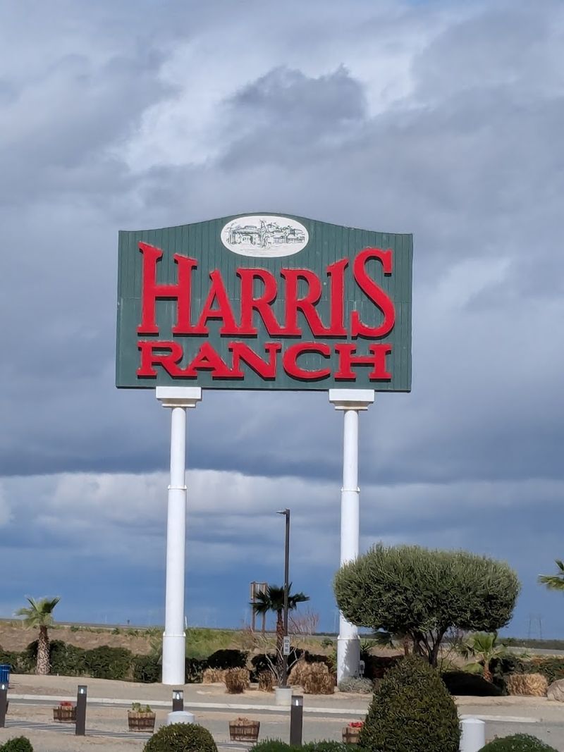 The Drive That Makes The Destination Worth It