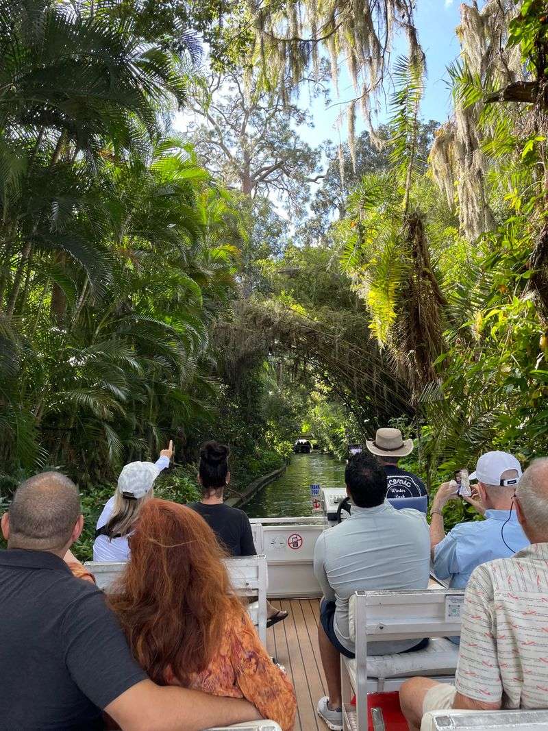 Gliding Into The Canopy: First Impressions On Lake Osceola