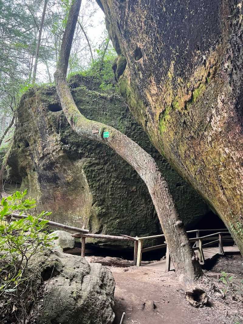 Getting There And Making The Most Of Your Visit