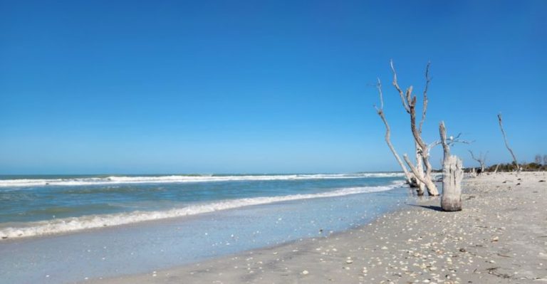 This Car-Free Remote Florida Island Has Barely Changed In Two Centuries