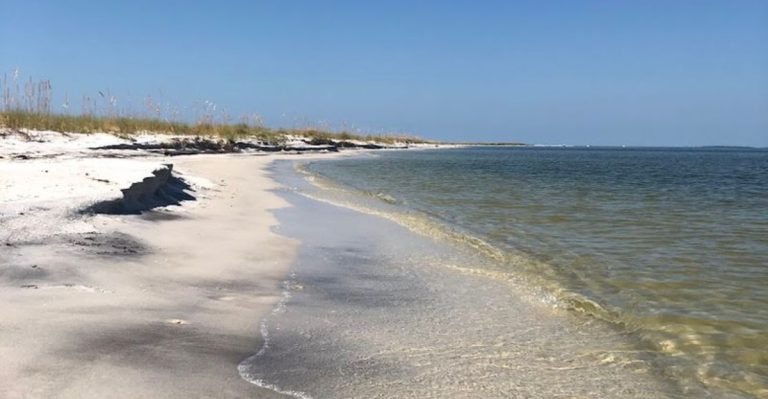 This Caribbean-Like Beach In Mississippi Is A Secret Paradise You Need To See